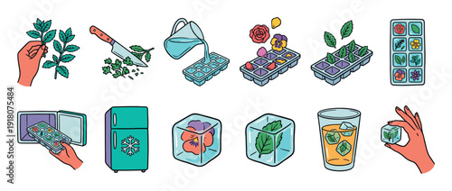 Illustrated step-by-step guide for making decorative ice cubes with edible flowers and fresh mint leaves for summer cocktails and drinks, a colorful hand-drawn infographic set