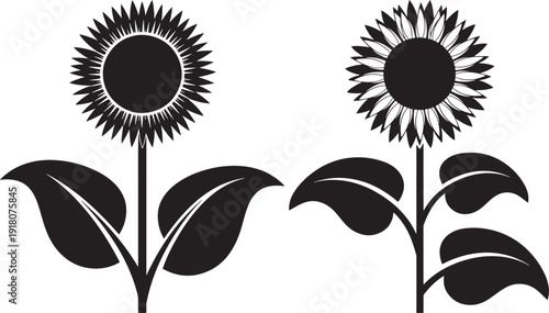 Two sunflower silhouette with leaves design vector
