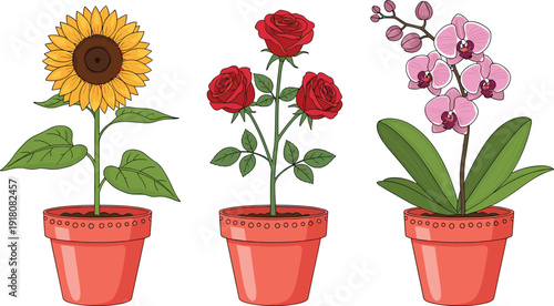 Potted Flower Plants Set with Sunflower Rose and Orchid