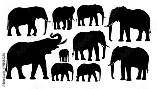elephant silhouettes

