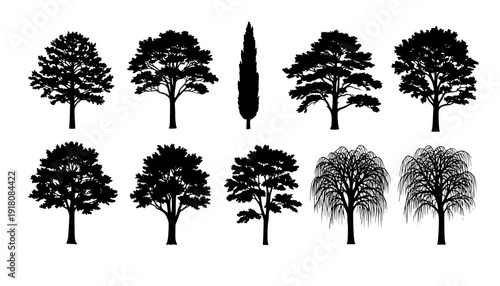 tree silhouettes volume 2

