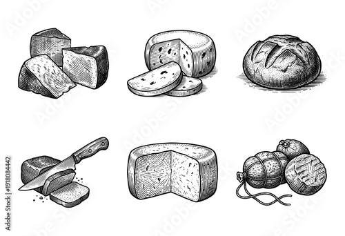 Vintage woodcut style engraving collection of artisan cheese wheels, rustic sourdough bread, and cured deli meats