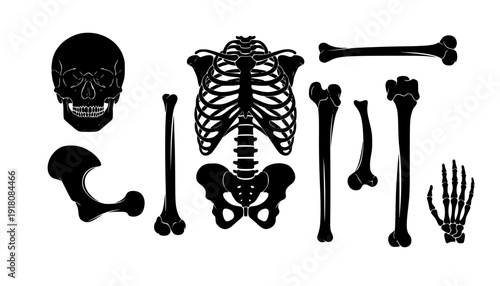 bone silhouettes
