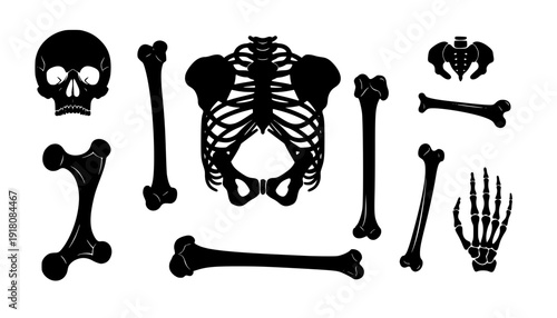 bone silhouettes
