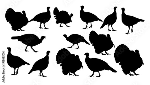turkey silhouettes
