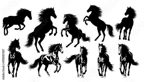 horse silhouettes
