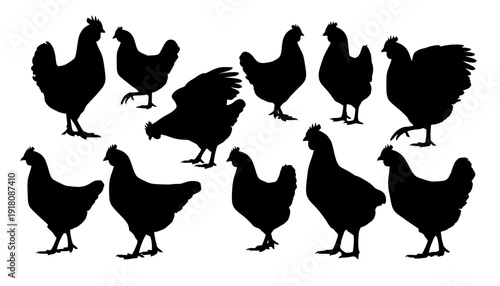 chicken silhouettes
