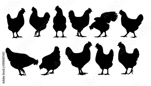 chicken silhouettes

