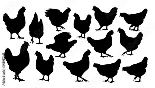 chicken silhouettes
