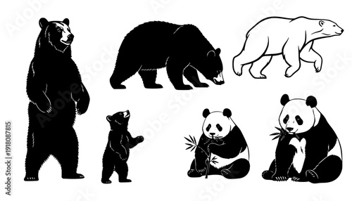various bear silhouettes on the white background
