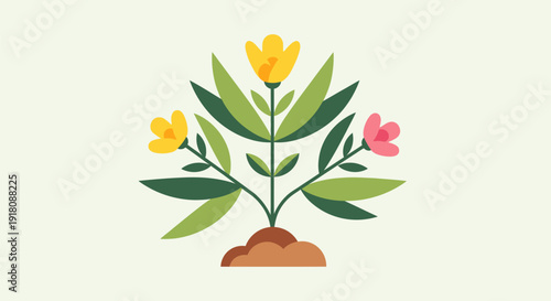 Illustration of a plant with yellow and pink flowers growing in soil from a top-down viewpoint