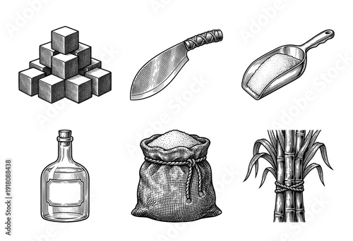 Vintage engraving style collection of sugarcane products including sugar cubes, granular bag, glass bottle, scoop, stalks, and a traditional harvest knife.
