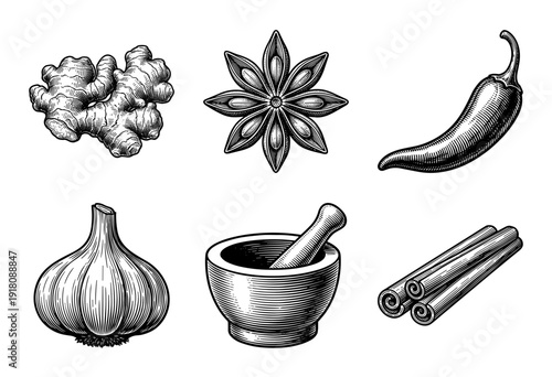 Vintage woodcut style collection of culinary spices and mortar with pestle featuring ginger star anise chili pepper garlic and cinnamon