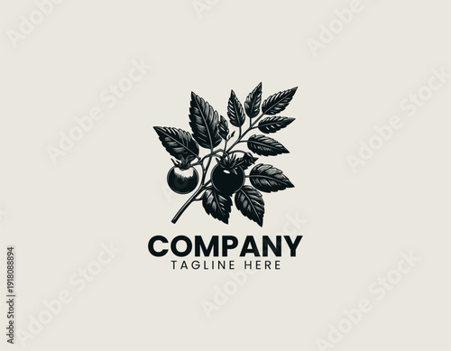 Tomato plant with ripe and unripe tomatoes and green leaves black vector logo illustration white background