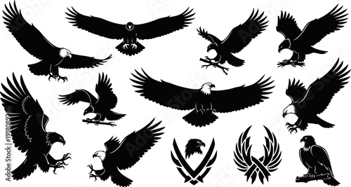 Collection of various eagle silhouettes in different flying positions and crests  eagle icons