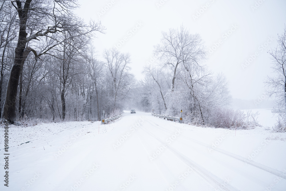 Obraz premium Central Minnesota landscape covered in fresh snow on a moody day 