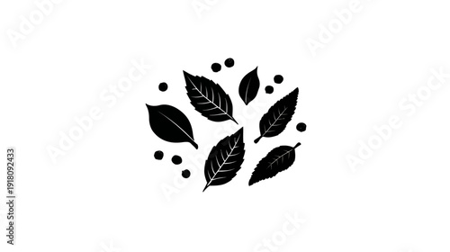 Minimalist Black and White Botanical Leaves and Dots Design. Simple Graphic Illustration of Natural Herbs for Organic Products.