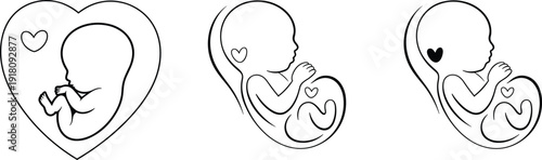 Fetus pregnancy line art illustration set featuring baby silhouettes in womb with heart symbols, minimalist outline design for maternity, prenatal care and medical themes