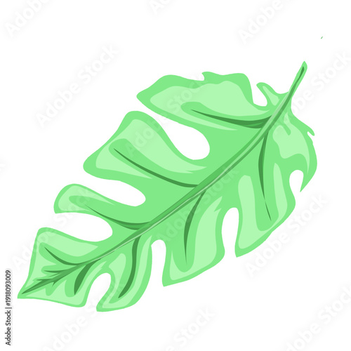 illustration of fresh green leaves without background