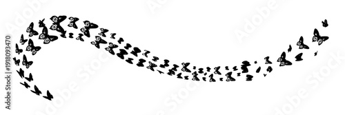 Butterflies swirling silhouette trail with many flying butterfly shapes forming curved wave pattern, black insect swarm design isolated on white background