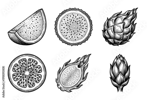 Vintage woodcut style collection of dragon fruit and citrus illustrations including whole fruits, cross sections, and sliced pieces in black ink.