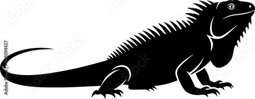Green lizard reptile vector illustration, cute cartoon iguana or gecko isolated on white background.