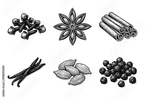 Vintage engraving of assorted whole spices including star anise, cinnamon sticks, cloves, vanilla beans, cardamom pods, and black peppercorns