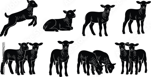 Vector Silhouettes of Young Lambs and Sheep, Set of Icons Featuring Farm Animals Jumping, Grazing, and Standing for Springtime Nature Designs