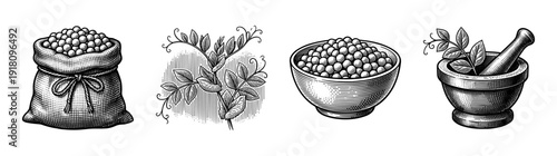 Set of monochrome woodcut illustrations featuring legumes, a seedling, a ceramic bowl of peas, and a traditional mortar and pestle.