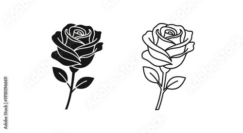 Black and white rose drawing, rose illustration, floral art, vintage rose sketch Vector