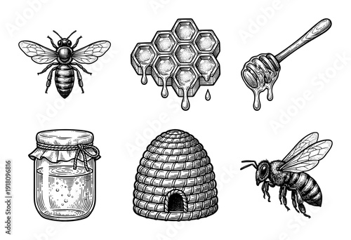 Vintage engraving honey and bee collection featuring woodcut style illustrations of honeycombs, skep hive, glass jar, and insects