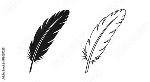 Two black and white feather illustrations, minimalist design, vector art Vector