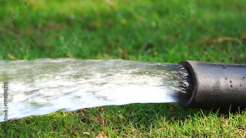 Water flowing from a hose onto lush green grass in native habitat range slow-motion