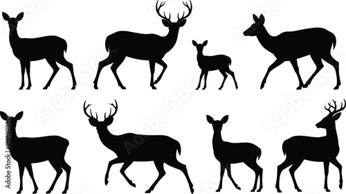 Set of deer silhouettes including buck, doe, and fawn in different poses. Wildlife animal vector collection isolated on white background for hunting and nature design.