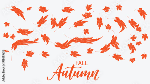 Orange Falling Autumn Maple Leaves on White Background