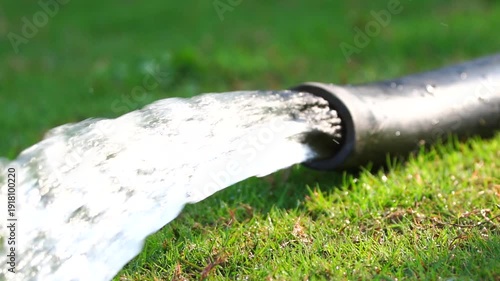 Water flowing from a black pipe onto lush green grass in bright sunlight wildlife subject slow-motion