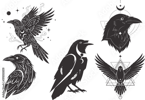 Hand Drawn Raven and Crow Illustration Set, Mystical Black Bird Sketch Collection, Gothic Tattoo Style Flying and Perched Bird Design Elements
