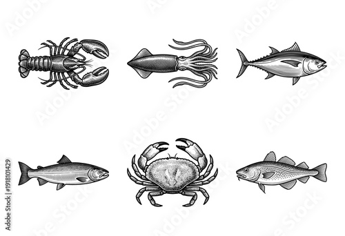 Vintage engraving style collection of seafood and marine animals including lobster squid tuna salmon crab and cod
