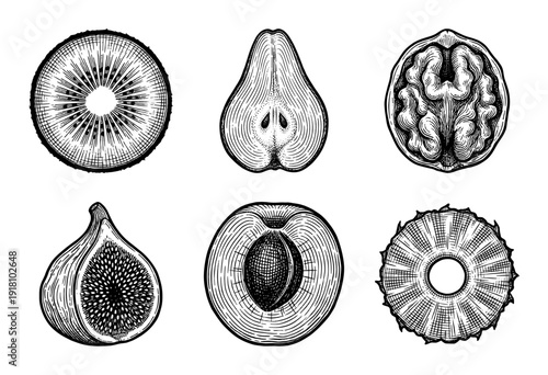 Vintage woodcut style illustration set of fruit cross sections including kiwi pear walnut fig peach and pineapple