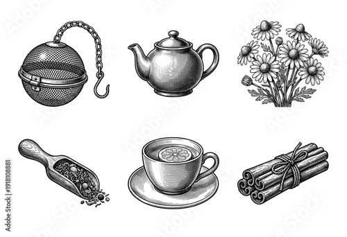 Vintage engraving style tea set collection featuring chamomile flowers, cinnamon sticks, brewing infuser, wooden scoop with loose leaves, ceramic teapot, and a cup with lemon.
