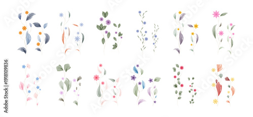 A beautiful assortment of watercolor painted leaves and tiny flowers. Delicate botanical elements in soft pastels like blue, pink, purple, and orange are arranged artistically on a white background.