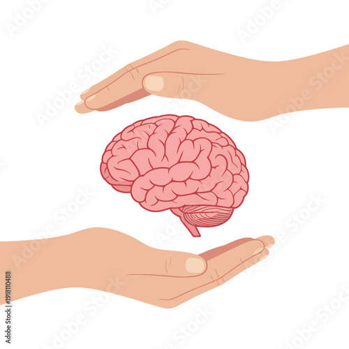 Two hands cupping a human brain from above and below  mental health concept