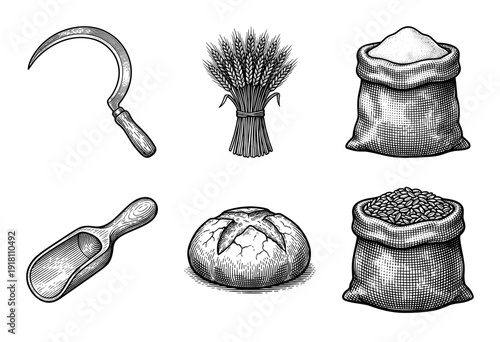 Set of vintage woodcut style illustrations depicting the wheat harvest cycle including a sickle, grain sheaf, flour sack, scoop, bread loaf, and seeds.