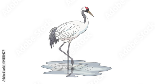 White Bird Standing in Water Illustration.
