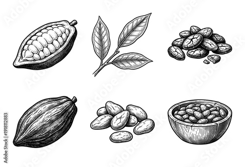 Vintage engraving style cocoa bean collection featuring botanical leaves pod sections and harvested seeds in a rustic bowl