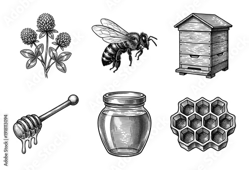 Vintage engraving collection of honey production elements including a honeybee, beehive, clover, honeycomb, and honey jar