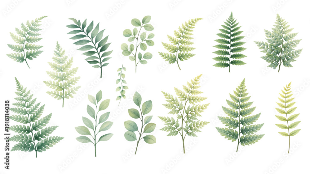 Fototapeta premium A charming watercolor collection of botanical fern leaves, including delicate fronds, soft green branches, and airy foliage in natural hand-painted detail.