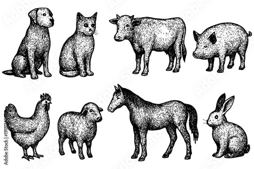 farm animals collection,
Minimal Black and White Animal Sketch – Dog, Cat, Cow, Pig, Chicken, Sheep, Horse, Rabbit