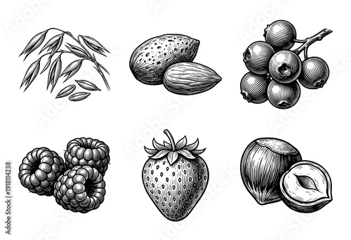 Vintage engraving style collection of healthy breakfast ingredients featuring grains nuts and various forest berries in monochrome woodcut illustration