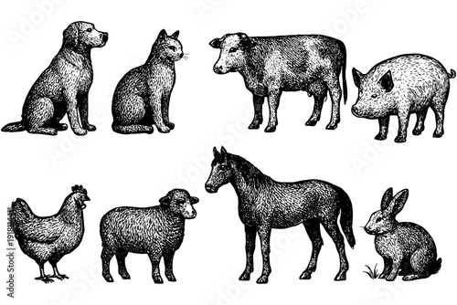 farm animals collection,
Sketch Illustration of Domestic Animals – Dog, Cat, Horse, Pig, Chicken, Sheep, Rabbit